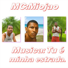 Tu é minha estrada