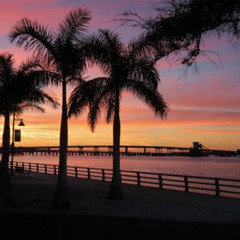 Best Things To Do In Bradenton Florida Tours Reviews