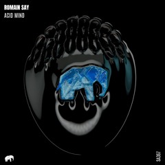 SA367: Romain Say - Acid Mind