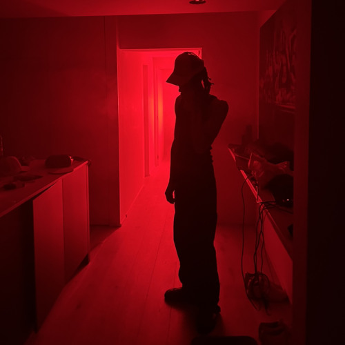 OEUVRE D’ART SANS SCHÉMA