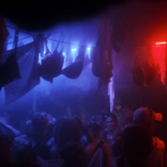 SHELLY | nachtlicker at boomtown 2024 | fri 23:45 - 00:45