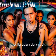 La Calibracion del Artista