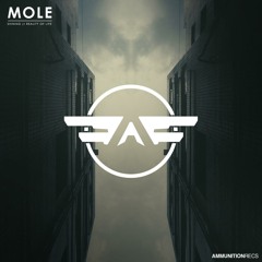 Shining (Original Mix)