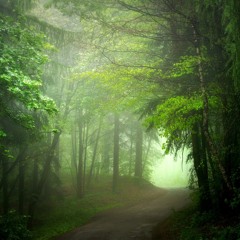 LEAF OF GOD (1)