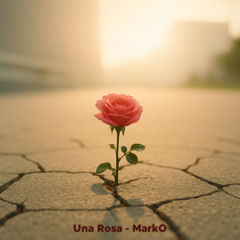 Una Rosa