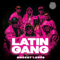 Smokey Loops - Latin Gang
