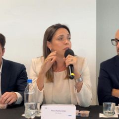 María Martha Avilez - Río Negro participó en la jornada federal sobre el futuro del empleo