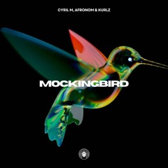 Cyril M, AFRONOM Mockingbird