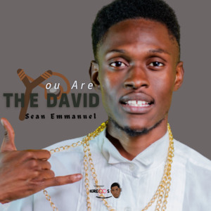 You Are The David