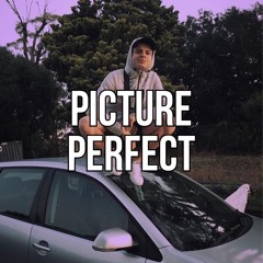 Furzs- Picture Perfect