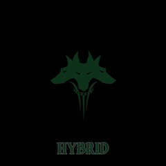 HYBRID [ACID PODCAST #003].
