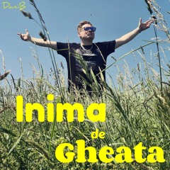 Inima de Gheata
