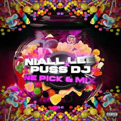 Niall Lee & Puss DJ - NE Pick & Mix