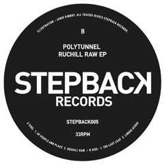 B1 - Polytunnel - The Last Leap - Stepback005 - Preview/Clip