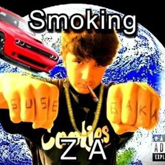 smoking ZA ft.boutabagg_$mit