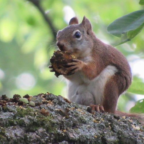 i wont none prod ki 06jen