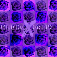 Wrong X Galvz Purple Rose