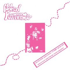 Naked Roommate - Bus (Trouble In Mind Records)