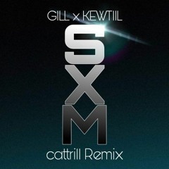 GILL X KEWTIIE - SANG XỊN MỊN | cattrill remix