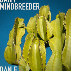 Dan F "Mindbreeder" (Disuye Records 2025)