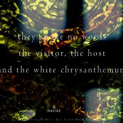 The Visitor (naviarhaiku555)