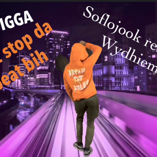 DJ Tigga- Dont Stop da beat bih ft Wydhiem-SoFloJook Remix