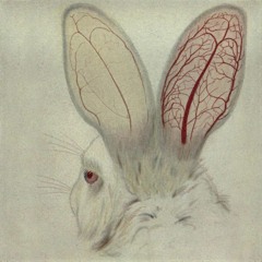 06 Meditation For Satan