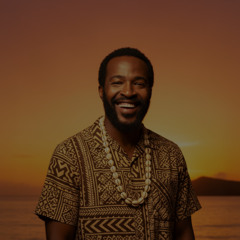 Mercy Mercy Me (Island Reggae Rendition)