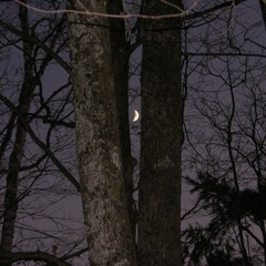 tear apart the night sky, silver moon