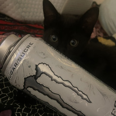 meaning (chipmunks version).mp3