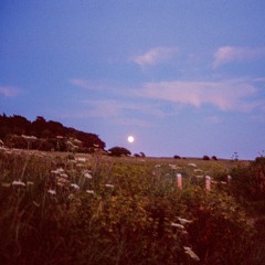 Quiet Light