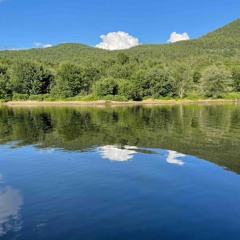 Reflections.aif