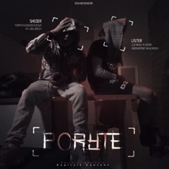 SHEDER - PORYTE