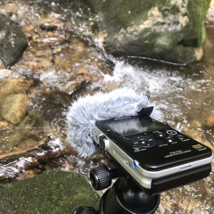 Medium Flow Stream Recording | Matthews Creek, SC