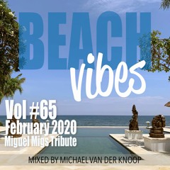 Push The Button #65 Beach Vibes Miguel Migs Tribute