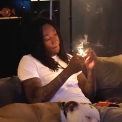 Wiz Khalifa   Love To Smoke