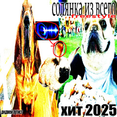 солянка из всего (freestyle)