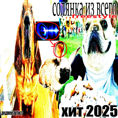 солянка из всего (freestyle)