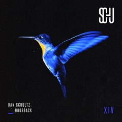Dan Schultz - Hogsback [SCHU14]