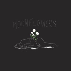 moonflowers