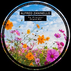 Premiere : Alfred Zaninello - Tu Provaci [BANDCAMP]