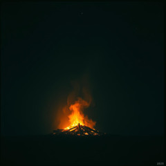 Moonlit Fever