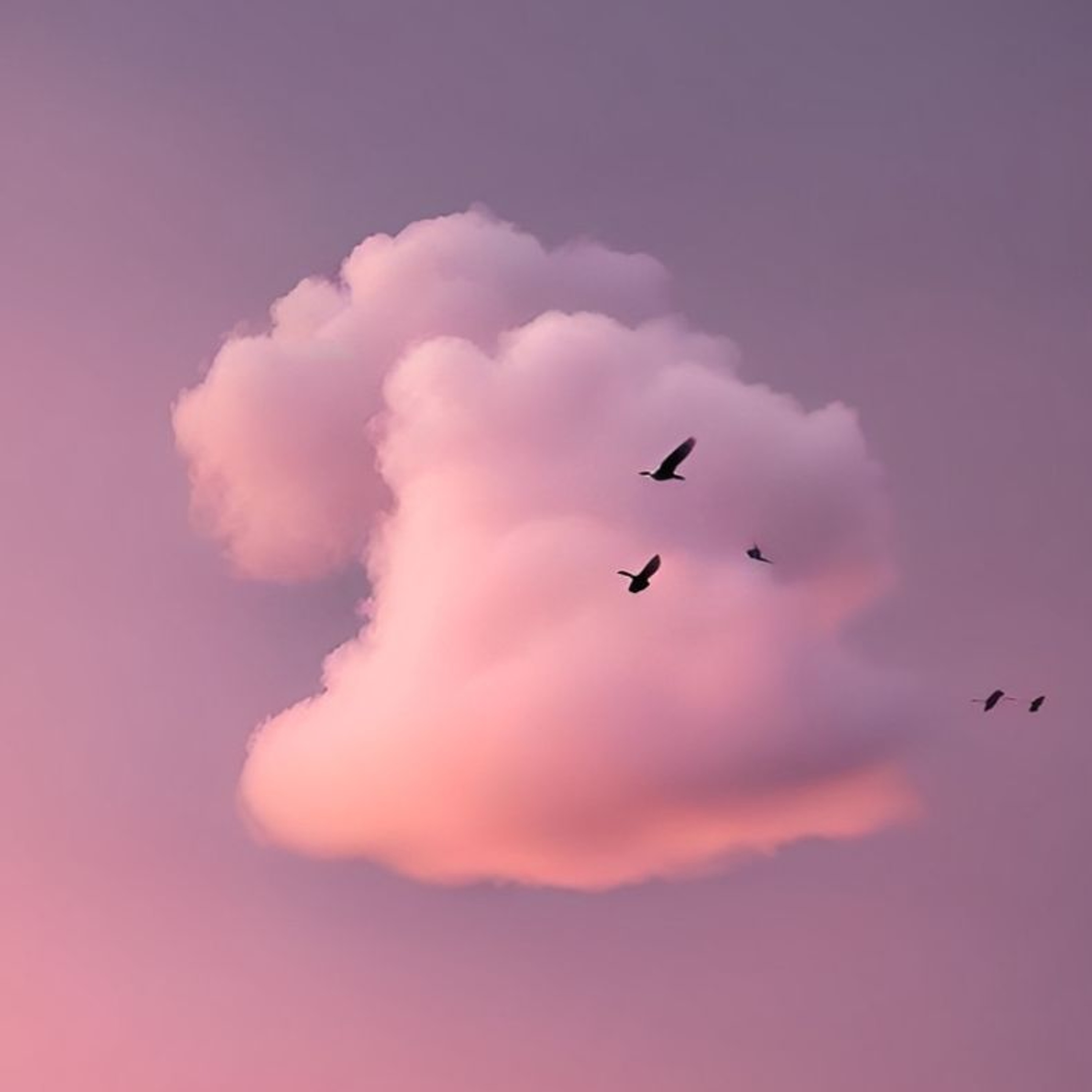 sʟᴀᴛᴇʀ