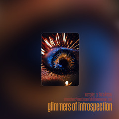 V.A. - Glimmers Of Introspection