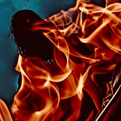 Mix: Our House is on Fire — fem&ms