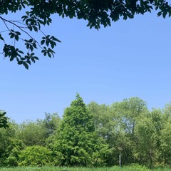 화해장소의 실재 그리스도