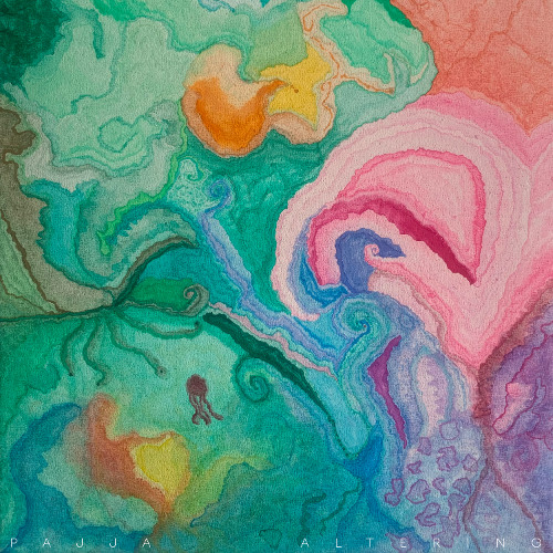 settling down in the forest