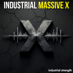 ISS - Industrial Massive X