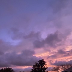 Molasses / Mourning Bird (prod stoic)