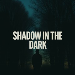 Shadow In The Dark.mp3